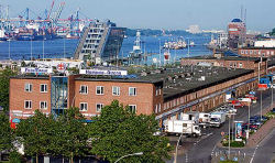 Fischmarkt i Hamburg